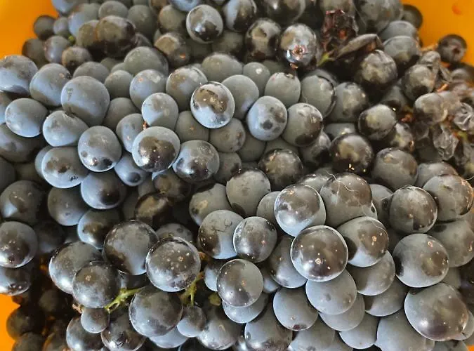 Feriehus My Grandmas A Casa Avos